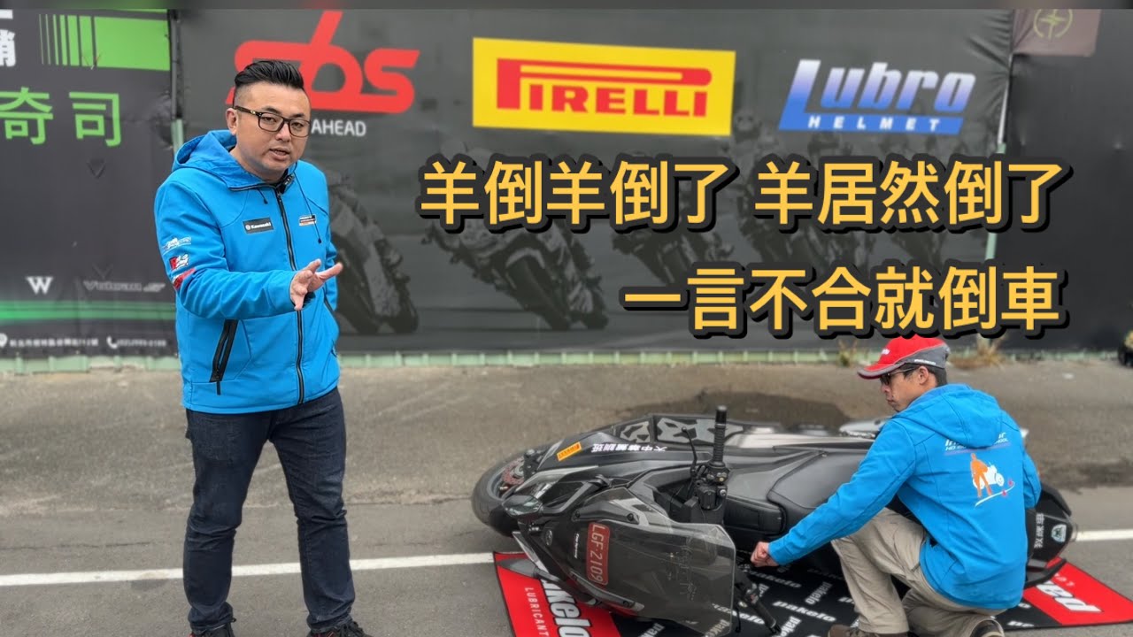 羊倒羊倒了/加菲貓練車工廠/大羊躺平一樣扶起